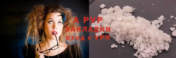 гашиш Богданович