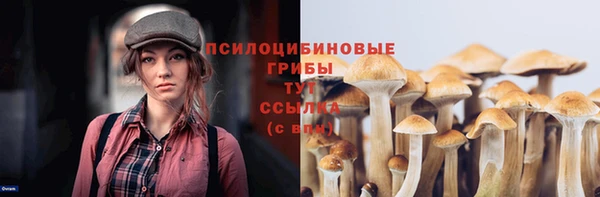 мет Богородицк