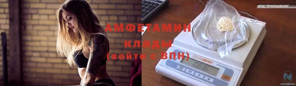 гашиш Богданович