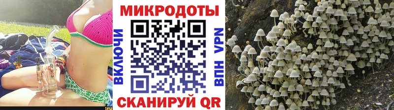 Псилоцибиновые грибы прущие грибы  Купить закладки  Старая Купавна 